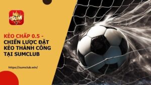 Kèo chấp 0.5 - Chiến lược đặt kèo thành công tại SUMCLUB
