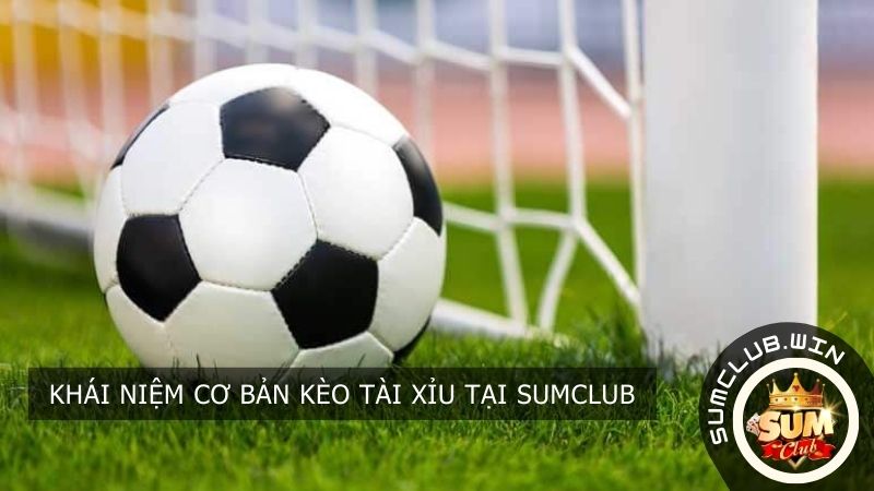 Khái niệm cơ bản Kèo Tài Xỉu tại SUMCLUB