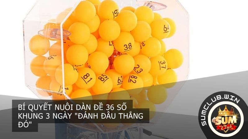 Nuôi khung 3 ngày sao cho lãi? Hãy áp dụng chiến thuật vào tiền thông minh để đảm bảo luôn thắng lớn