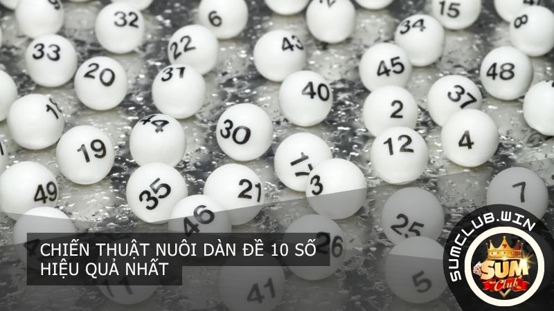 Học cách nuôi dàn đề 10 số theo khung 3 ngày cực hiệu quả tại cổng game sumclub hiện nay